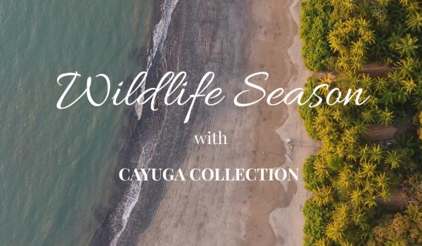 instagram 17878660728416966