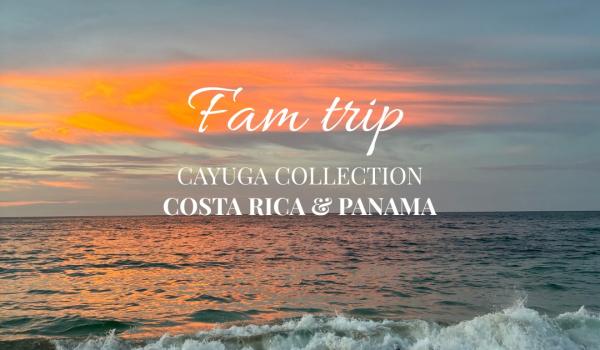 instagram 17899733298335537