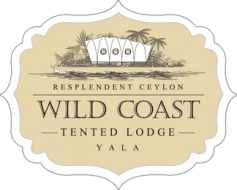 Wild Coast Tented Lodge